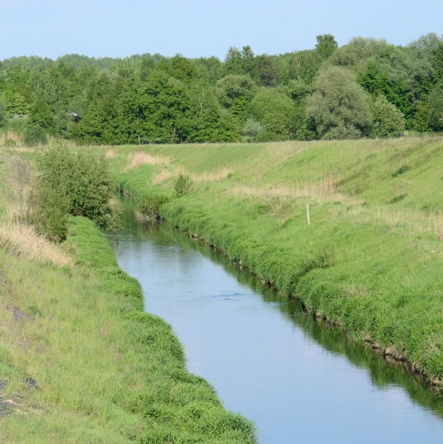 Kłodnica w pobliżu Halemby