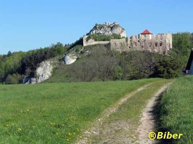 Zamek Rabsztyn