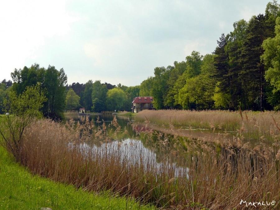 GOSiR Koszęcin