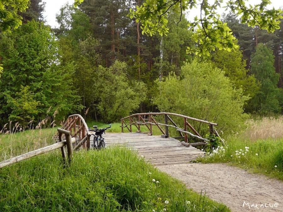 Mostek Koszęcin