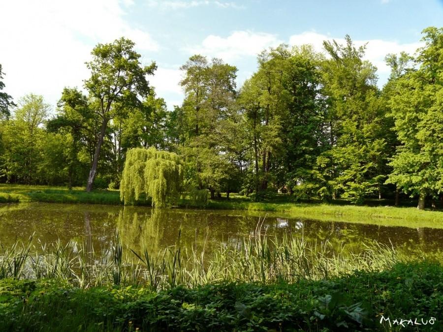 Park pałacowy w Koszęcinie