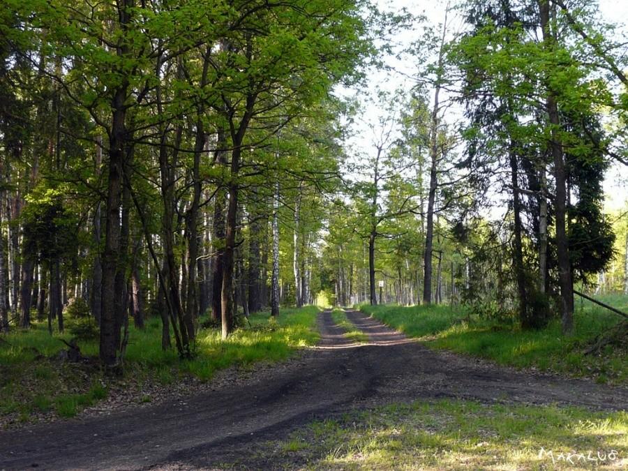 Koniec długiej prostej Kalety- Głęboki Dół