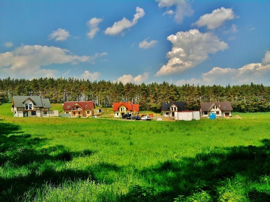 Moda na budowę domków pod lasami.