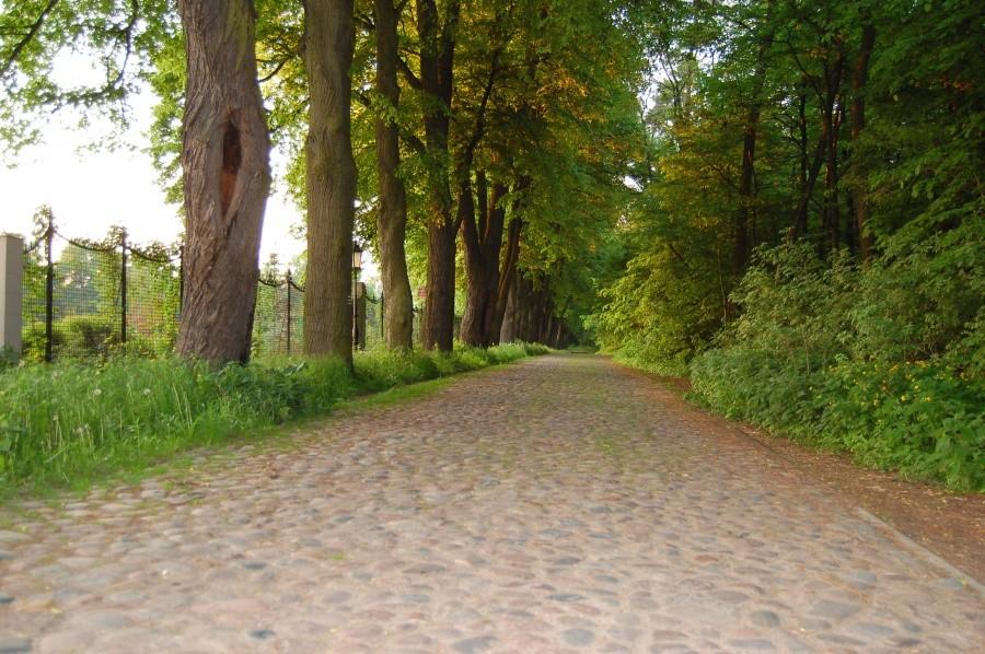 Aleja w Otrębusach koło "zamku " Zosin