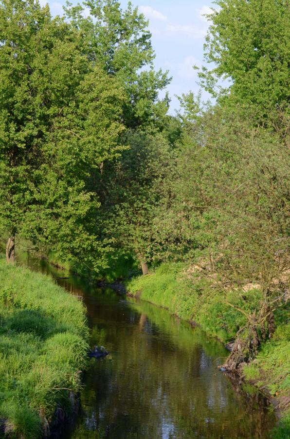Kłodnica w Panewnikach
