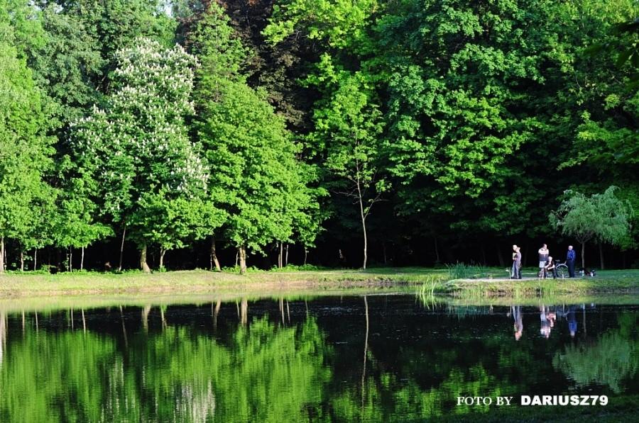 Siemianowice Śląskie - Staw w parku Górnik