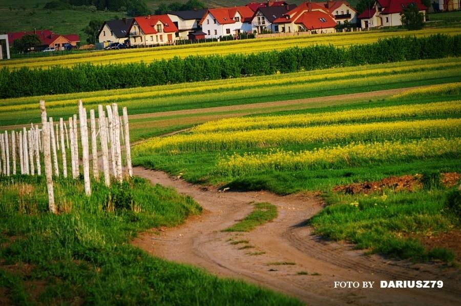 Przełajka - Ściezka polna w strone kościoła
