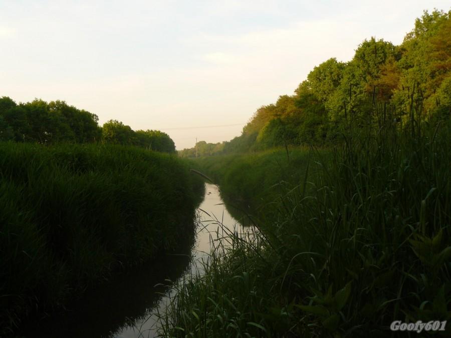 Potok Rokitnicki.