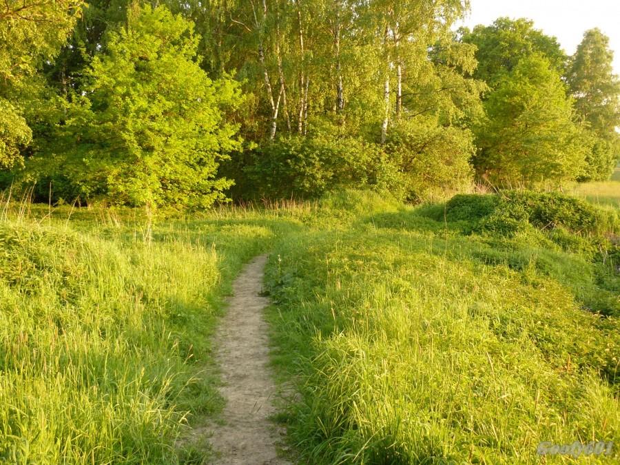 Końska ścieżka ;)