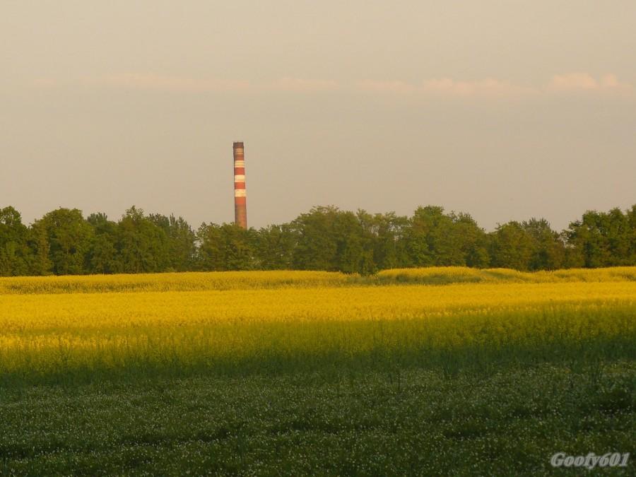 Znajdź niepasujący element ;)