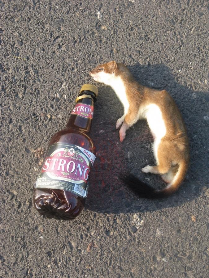 Alkohol szkodzi zdrowiu