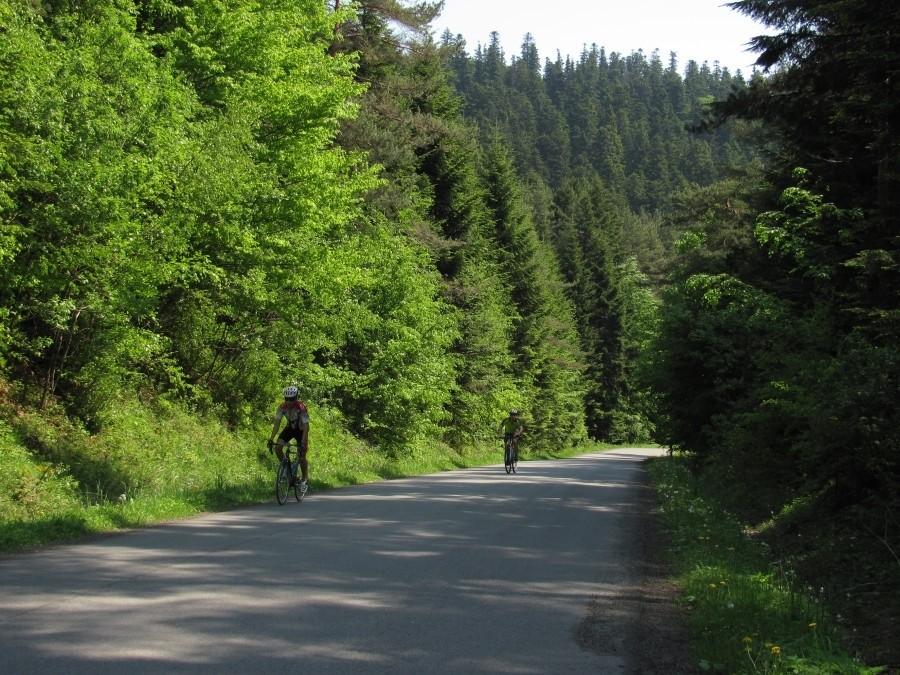 podjazd w Kotowie cd.