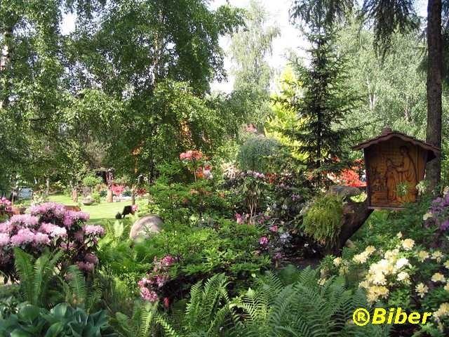Ogród botaniczny - Bujaków