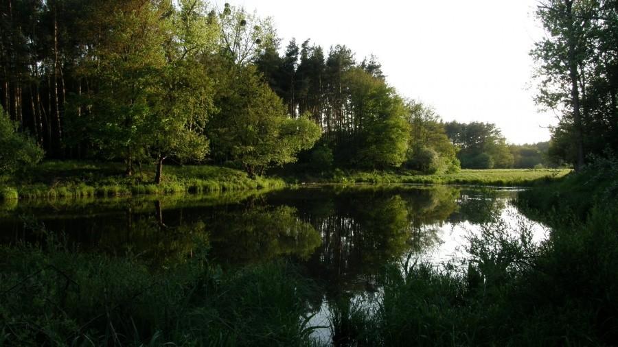 Późnopopołudniowe nadwarciańskie klimaty