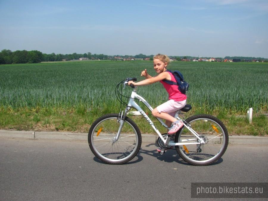 kierunek zamek