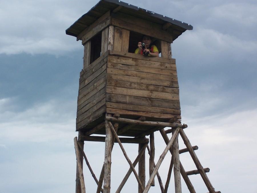 ambone wykonał stolarz