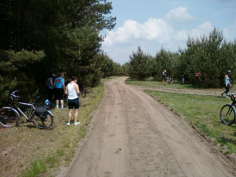 Postój w okolicach Dzierżąznej
