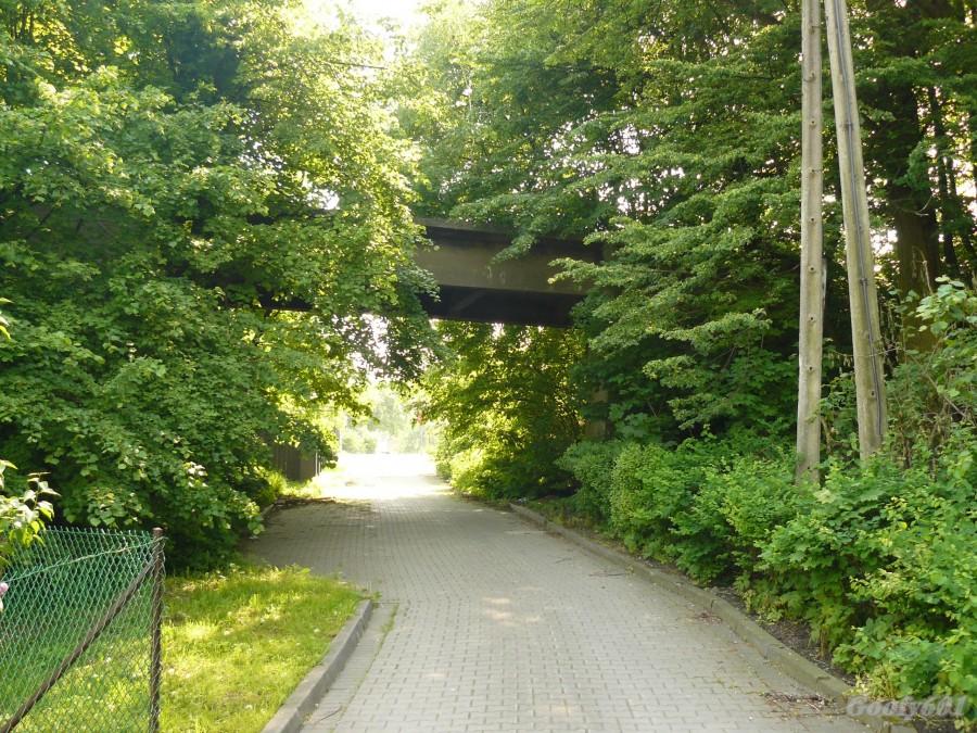 Wiadukt tramwajowy w Rokitnicy.