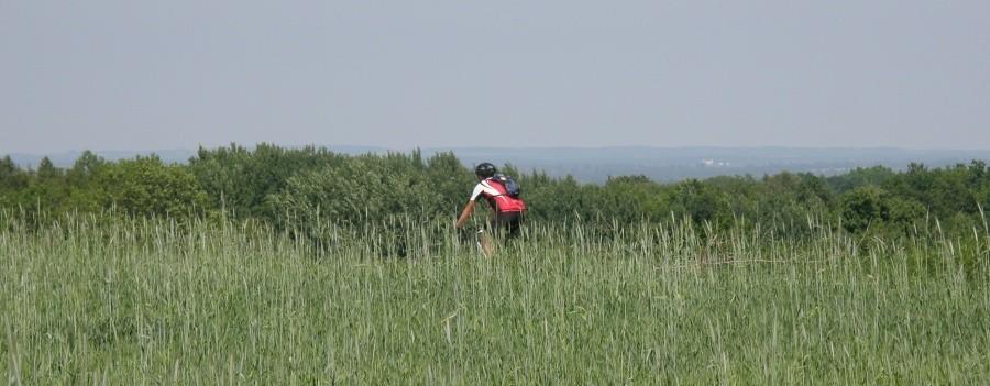 Nasz przewodnik - klosiu na swoich rodzinnych terenach