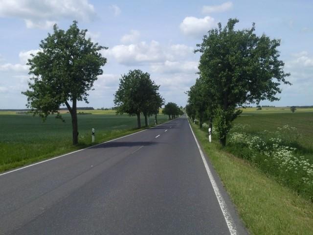 Szosa koło Tantow
