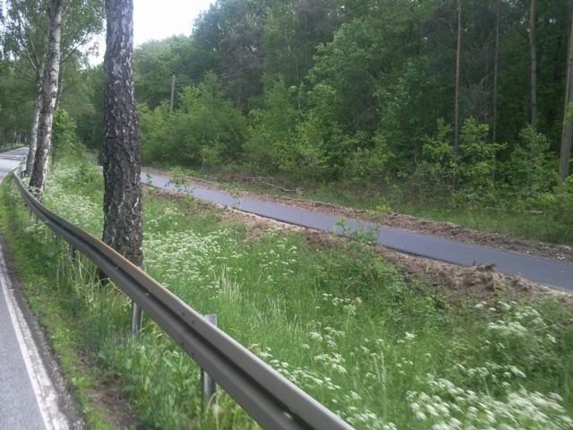 Widok asfaltowej ścieżki c.d.