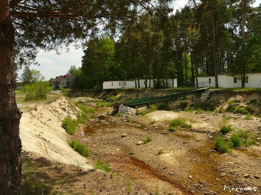 Rok po powodzi - Zielona