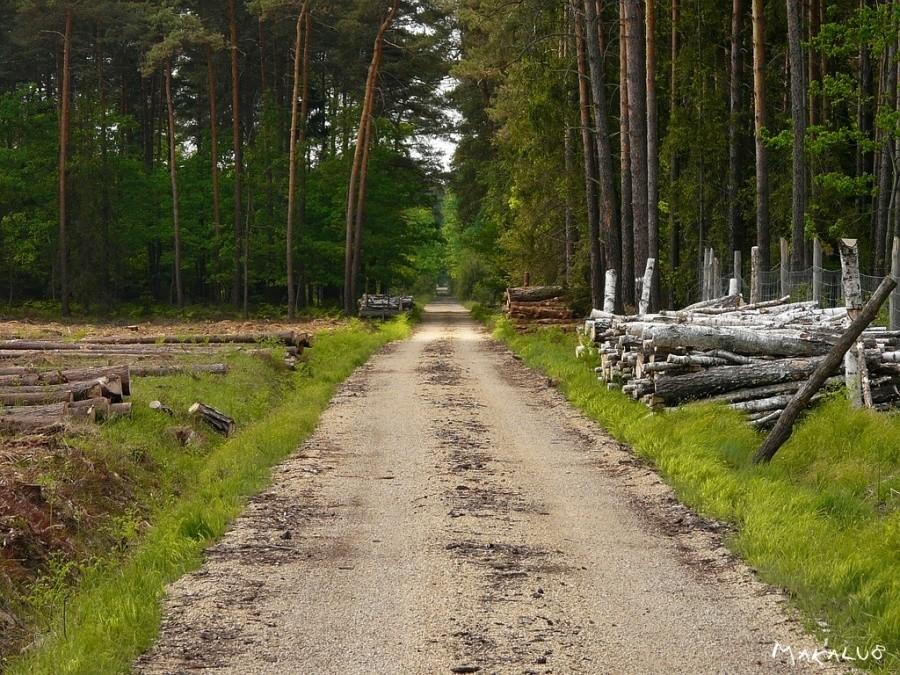 Stuletnia Droga, a wygląda jak nowa :-)