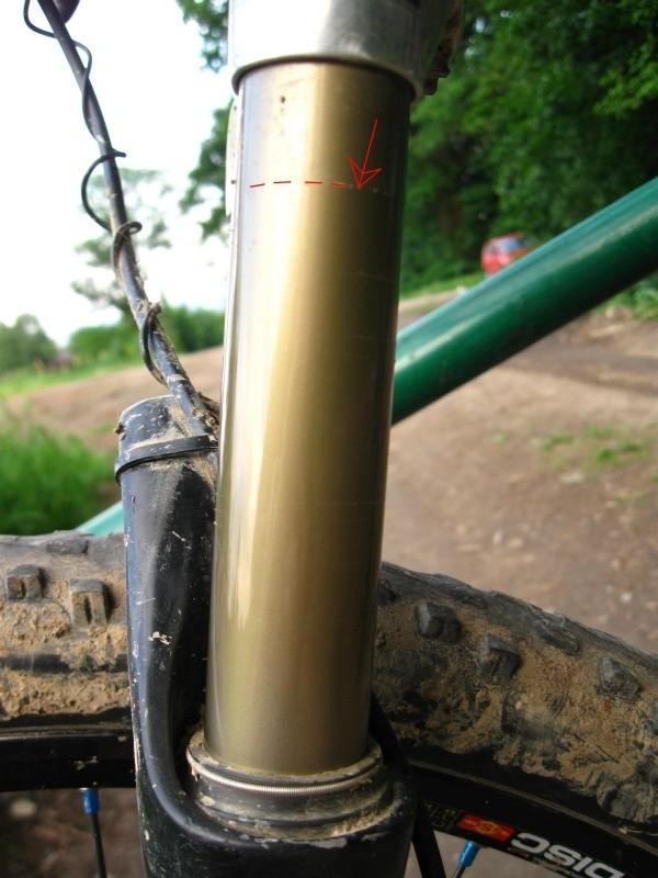 Na zawodach Bomber dał z siebie wszystko.