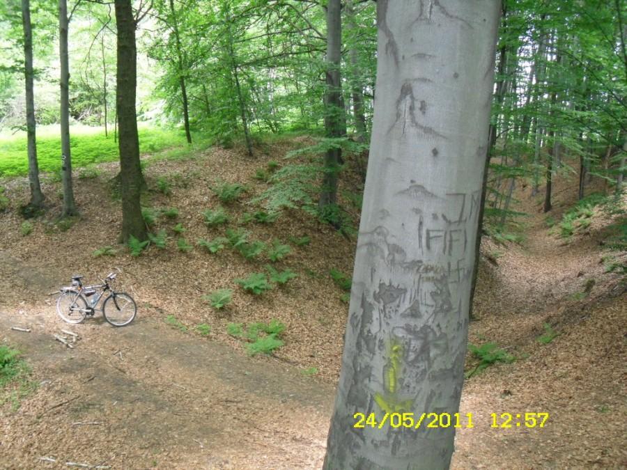 Kellys na Grodzisku w Lubomi