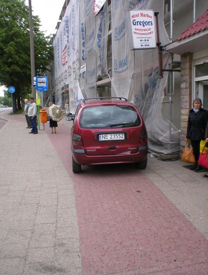 BLACHOSMRÓD NA ROBOTNICZEJ