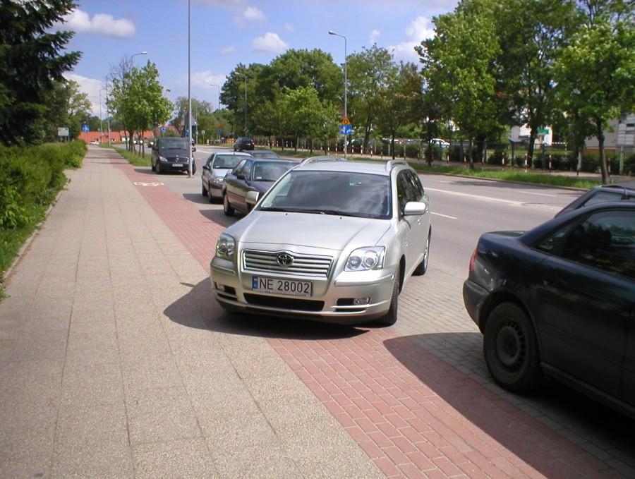 BLACHOSMRÓD NA NOWOWIEJSKIEJ