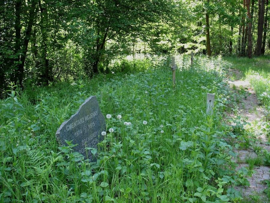 Cmentarz z I wojny światowej nad Wierną Rzeką