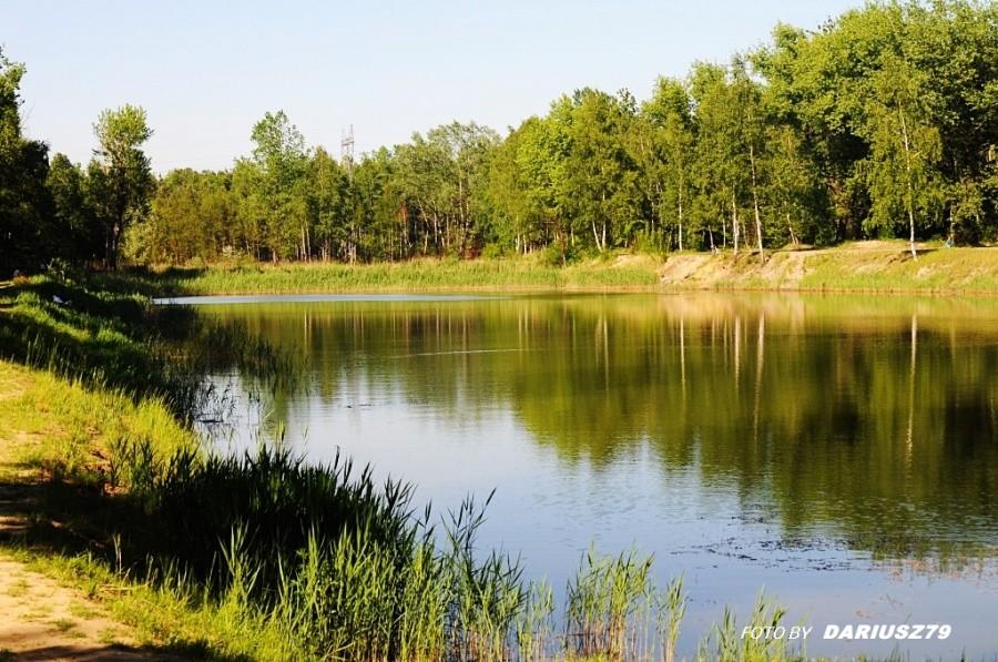 Rybaczówka - Niwka