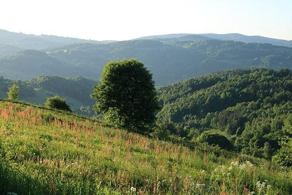 Nad Laskową