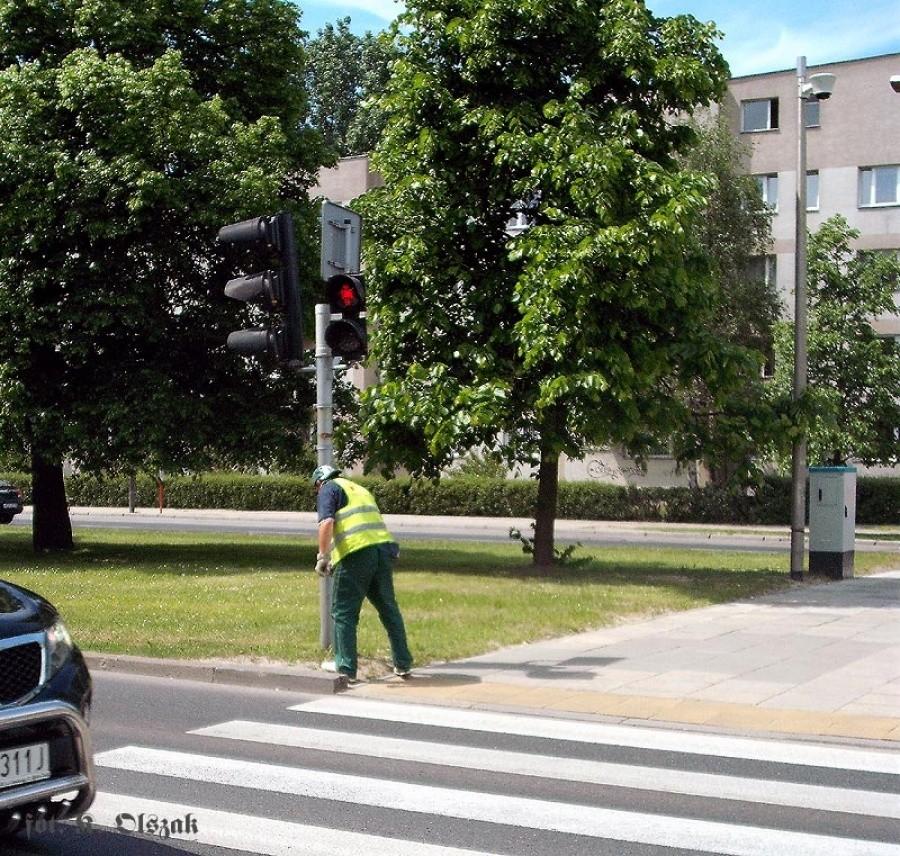 Malowanie trawy? Nie, sygnalizatora.