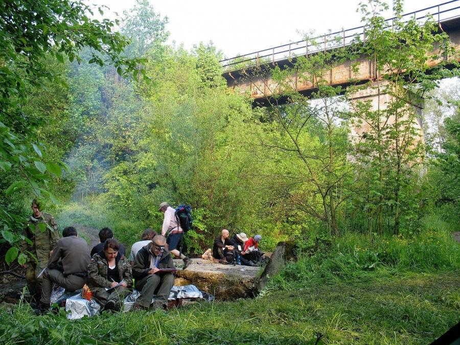 Pod wiaduktem Karpackiej Linii Transwersalnej