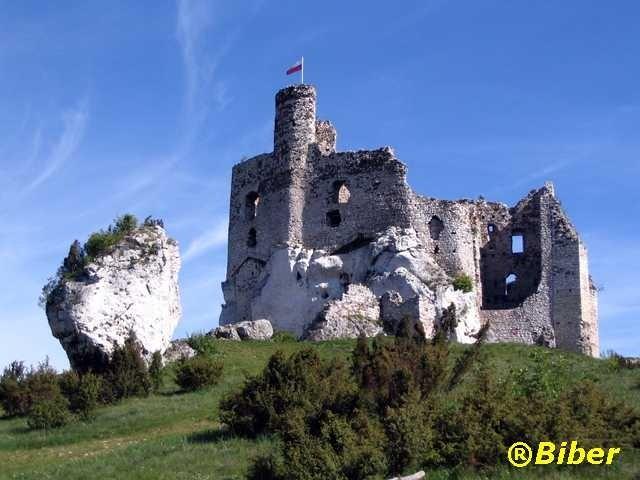 Zamek Mirów
