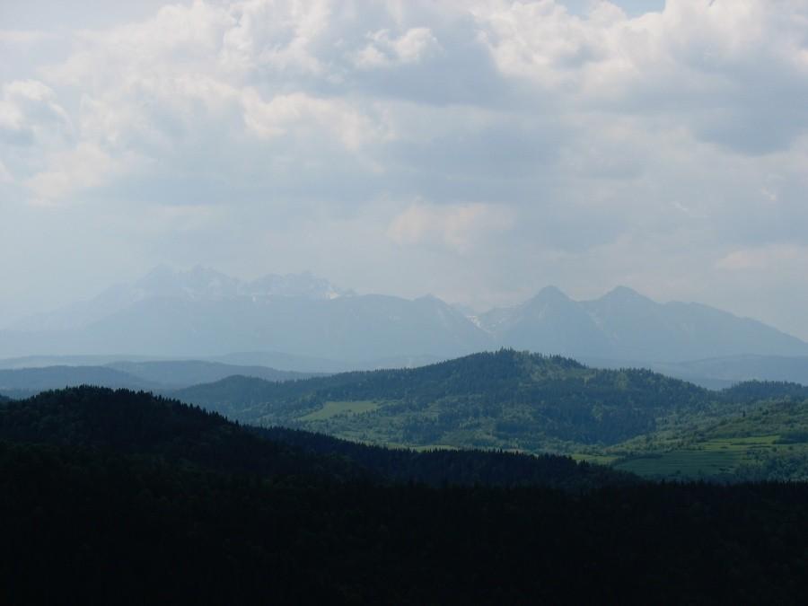 Tatry z Przełęczy Leśnickiej