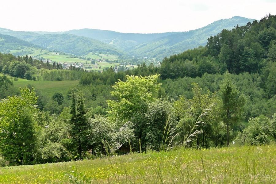 widok z Zagórnika