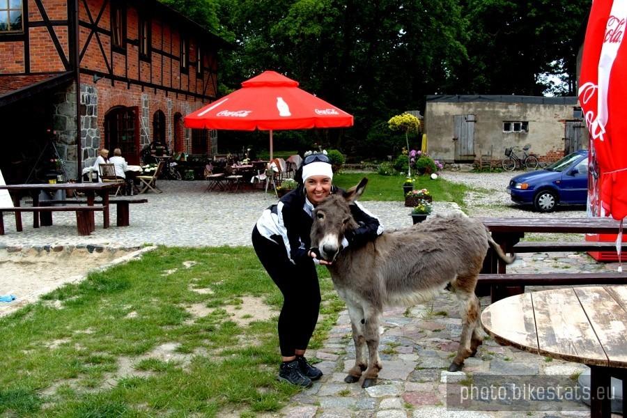 Zabawa z osiołkiem Maciusiem