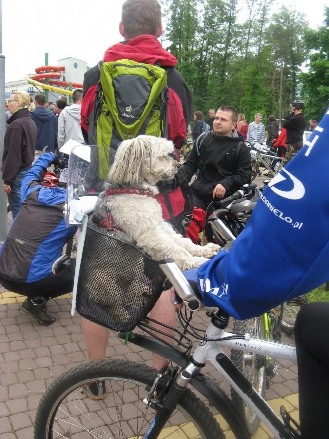 A piesek sobie obserwował ;)