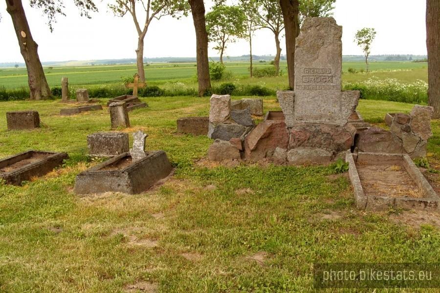 Cmentarz osadników holenderskich zamieszkujących dolinę dolnej Wisły od XVII do XX w.