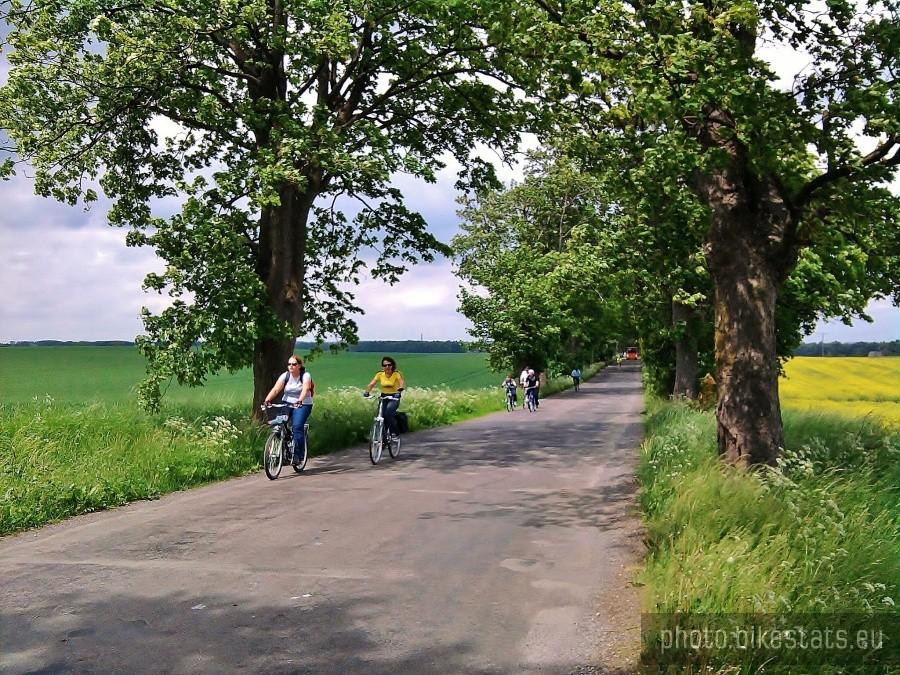 Na trasie wycieczki.