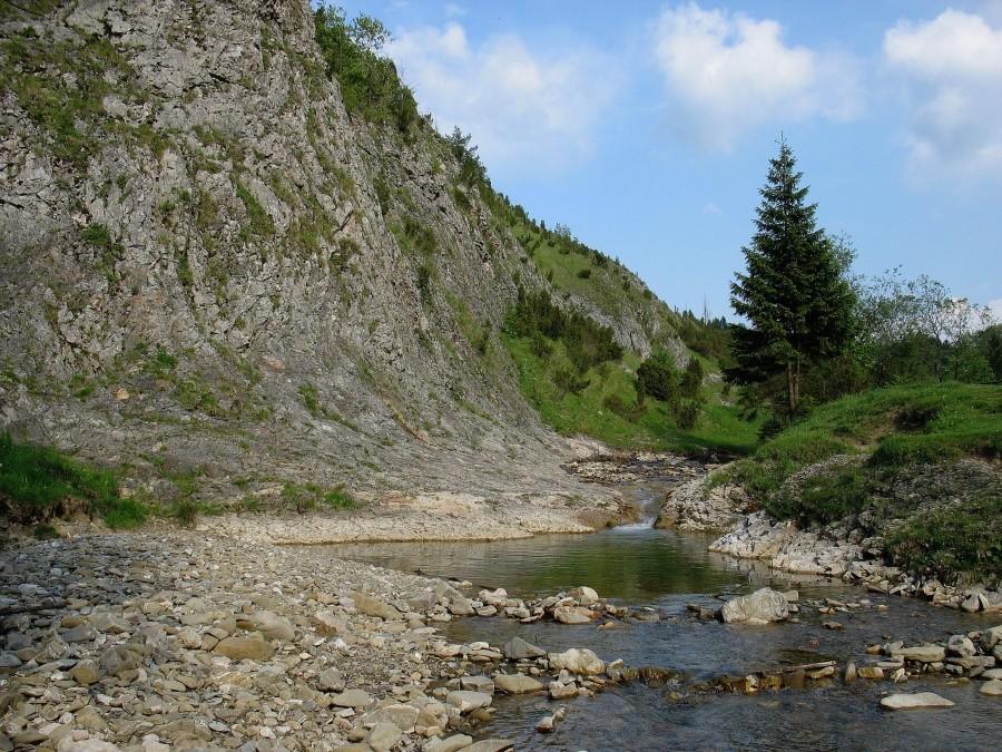 Rezerwat Biała Woda