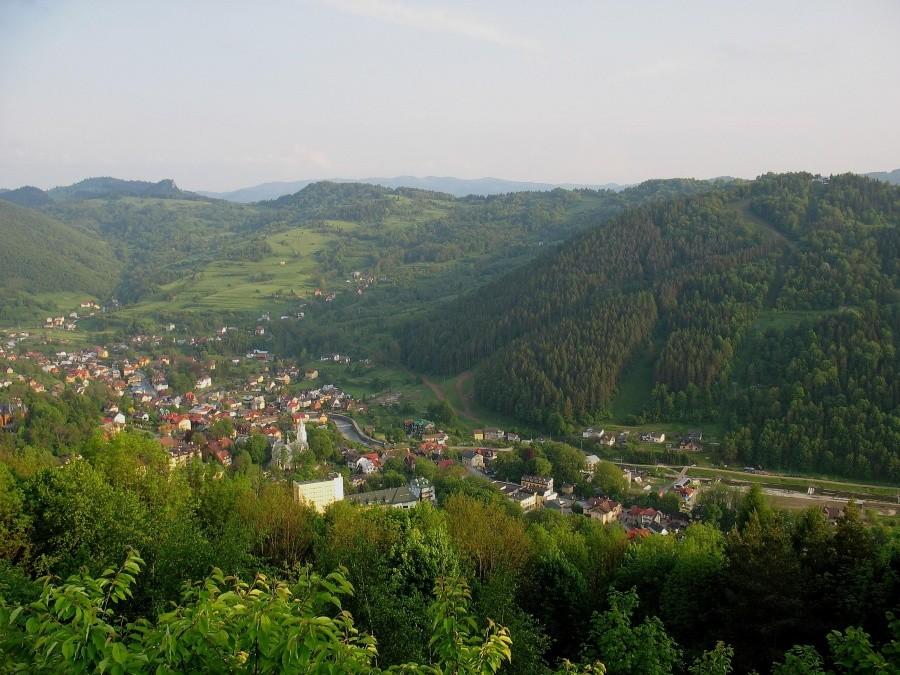 Widok Szczawnicy z Bryjarki