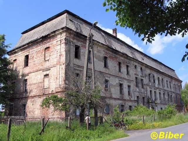 Pałac w Bycinie