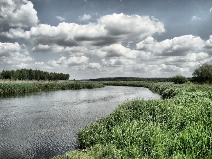 Luciąża w pobliżu ujścia do Zalewu Sulejowskiego