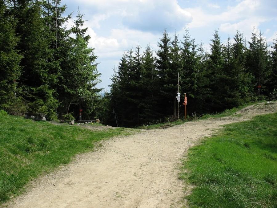 Wielki Rogacz 1182 m n.p.m.