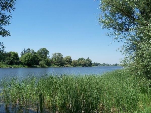 Jezioro Dziekanowskie