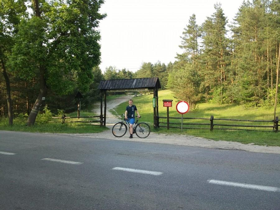 Góra Zborów
